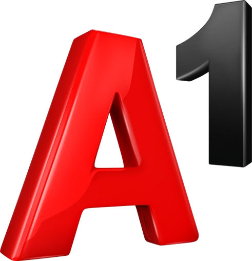 Partner 6